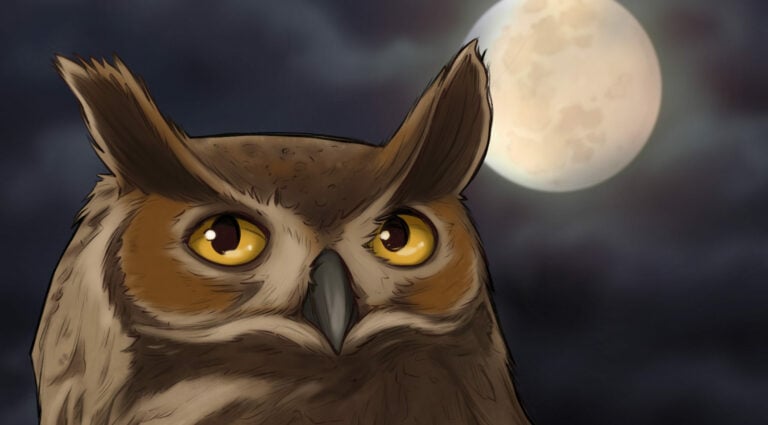 Great Horned Owl illustration — cover art for the Bird Boy lofi song "Great Horned Owl"